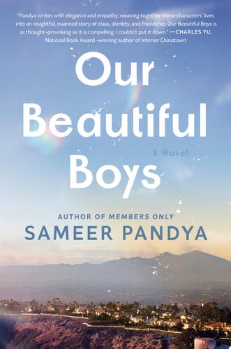 Our Beautiful Boys: A Novel