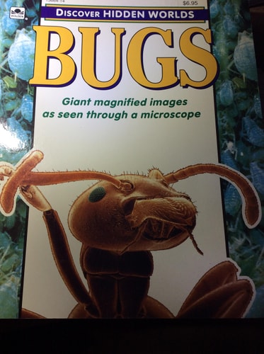 Bugs (Discover hidden worlds)