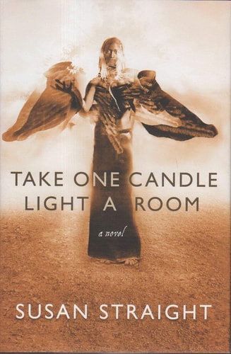 Take One Candle Light a Room: A novel
