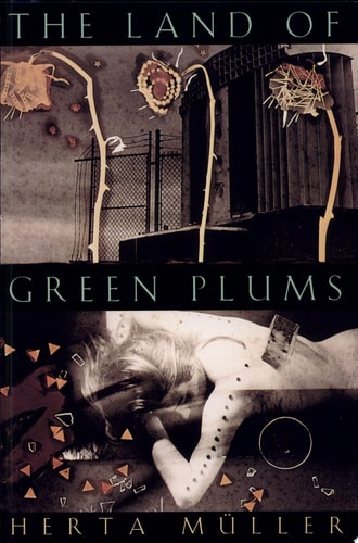 The Land of Green Plums