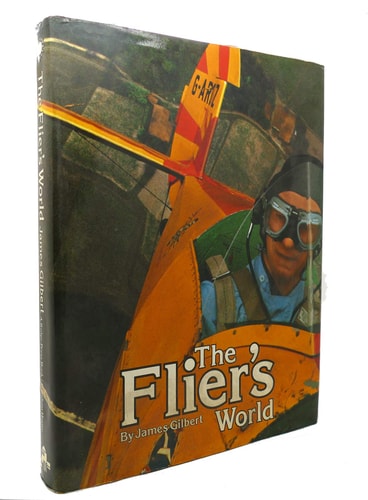 The flier's world