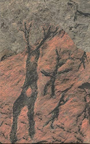 Dark Mountain, Issue 13