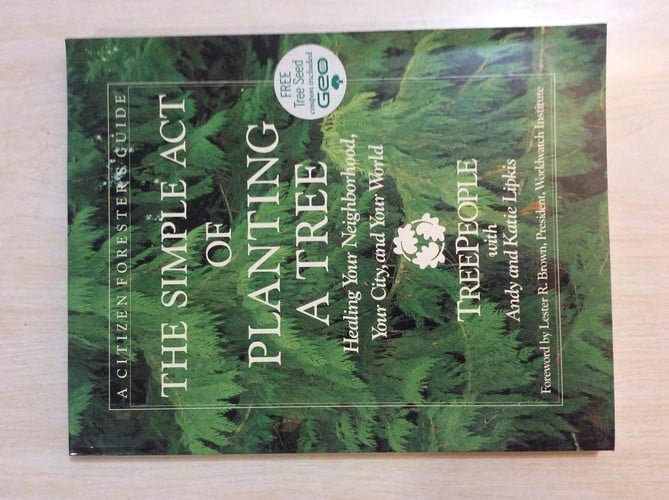 The Simple Act of Planting a Tree