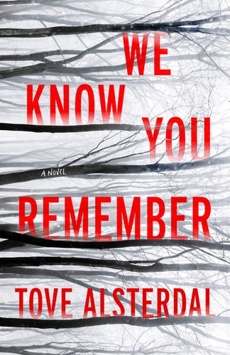 We Know You Remember: A Novel (The High Coast Series, 1)