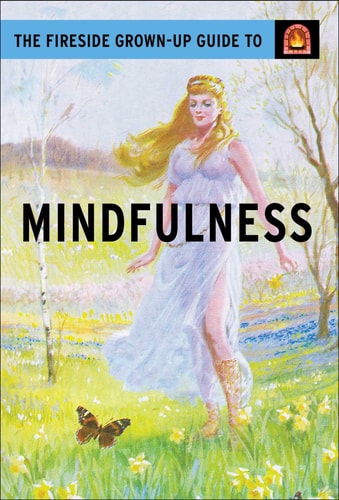 The Fireside Grown-Up Guide to Mindfulness