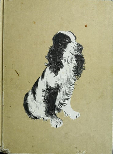 Love of Dogs