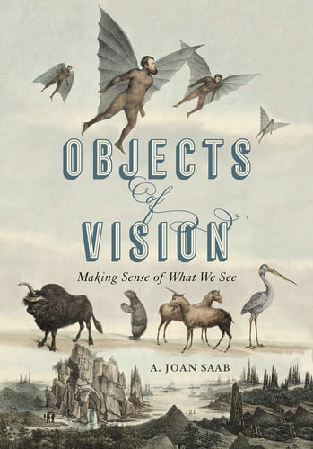 Objects of Vision: Making Sense of What We See (Perspectives on Sensory History)