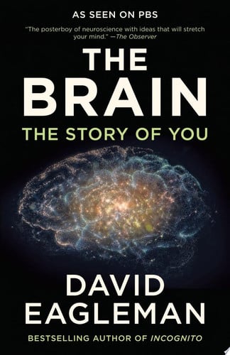 The Brain: The Story of You