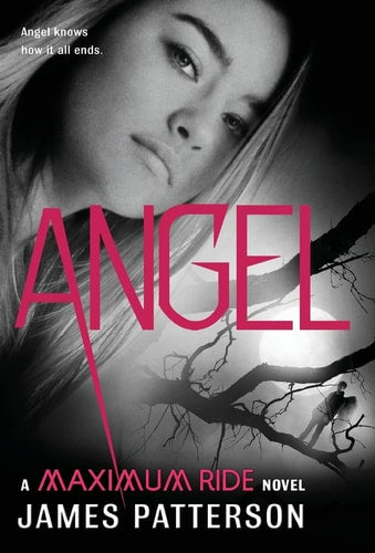 Angel: A Maximum Ride Novel (Maximum Ride (7))
