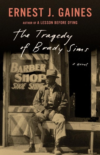 The Tragedy of Brady Sims (Vintage Contemporaries)