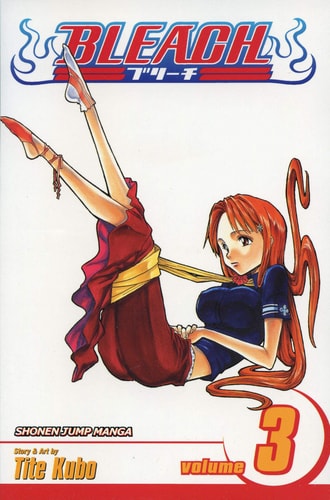 Bleach, Vol. 3 (v. 3)