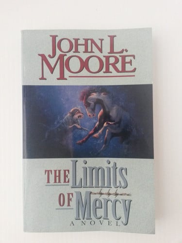 The Limits of Mercy: A Novel