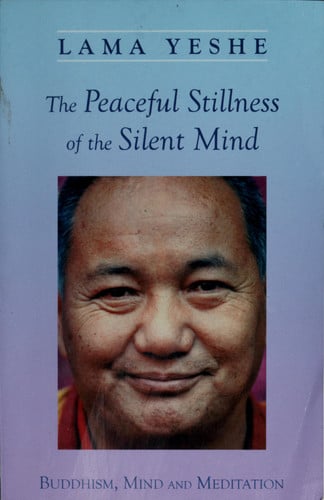 The Peaceful Stillness of the Silent Mind: Buddhism, Mind and Meditation
