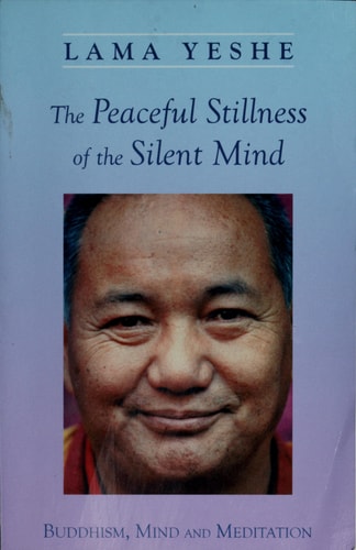 The Peaceful Stillness of the Silent Mind: Buddhism, Mind and Meditation