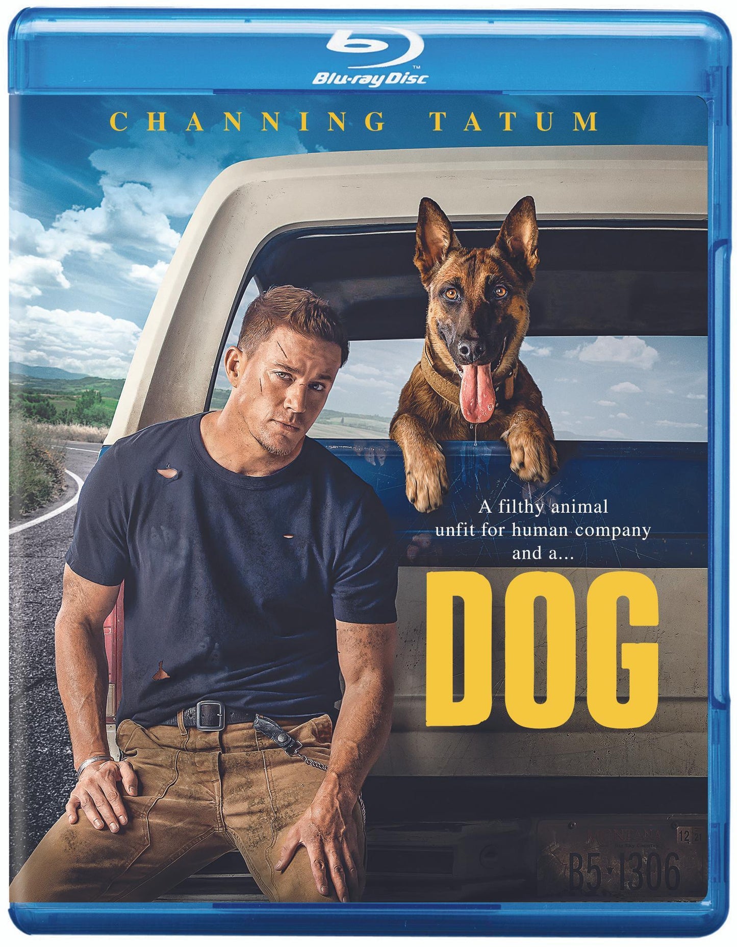 Dog (Blu-Ray + DVD + Digital)
