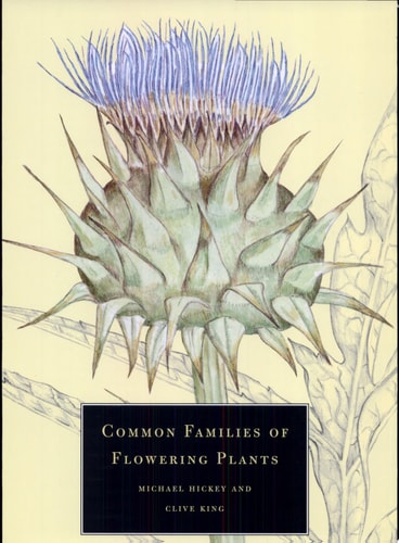 Common Families of Flowering Plants