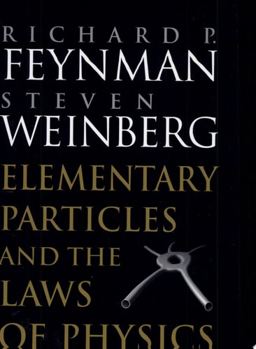 Elementary Particles and the Laws of Physics
