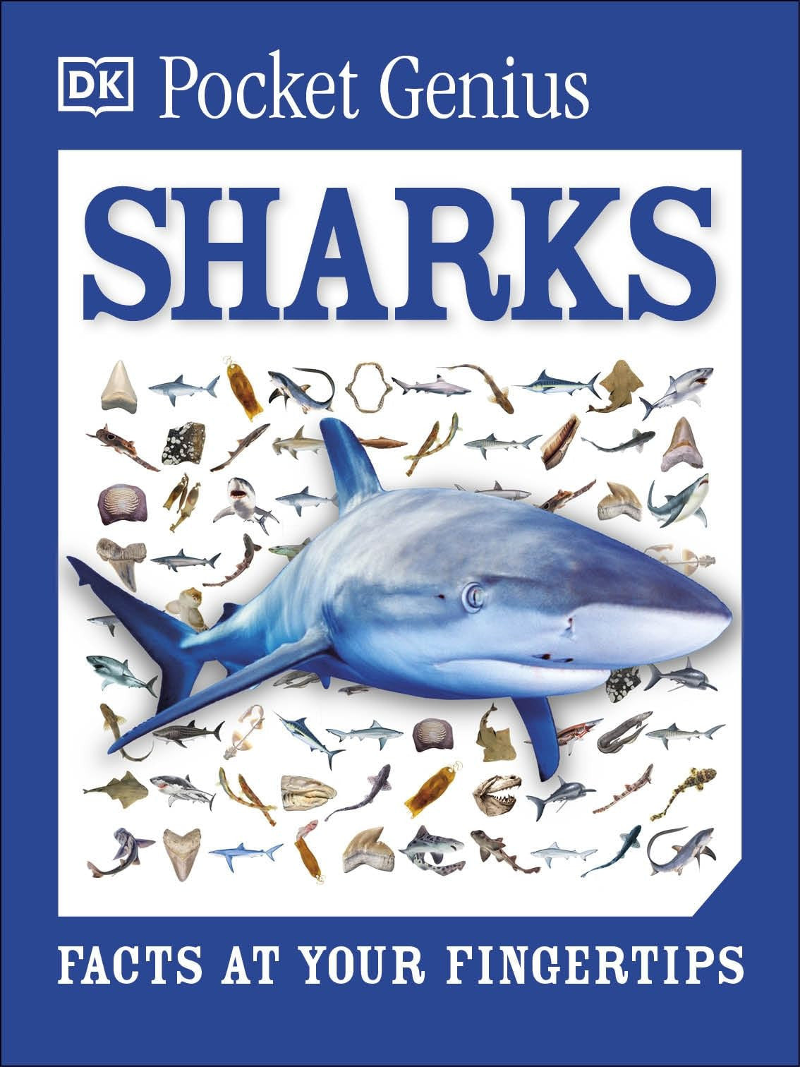 Pocket Genius Sharks: Facts at Your Fingertips