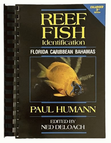 Reef Fish Identification: Florida, Caribbean, Bahamas