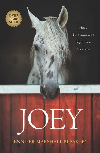 Joey: How a Blind Rescue Horse Helped Others Learn to See