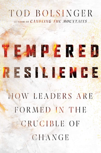Tempered Resilience: How Leaders Are Formed in the Crucible of Change (Tempered Resilience Set)