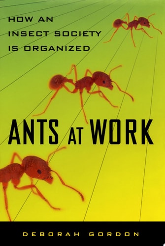 Ants At Work: How An Insect Society Is Organized