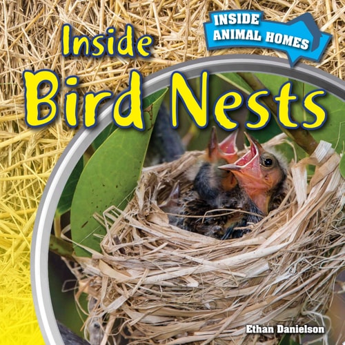 Inside Bird Nests (Inside Animal Homes)