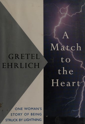 A Match to the Heart: One Woman's Story of Being Struck by Lightning