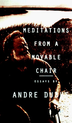 Meditations from a Movable Chair: Essays