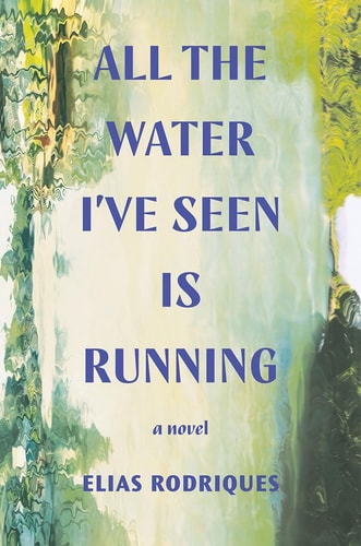 All the Water I've Seen Is Running: A Novel