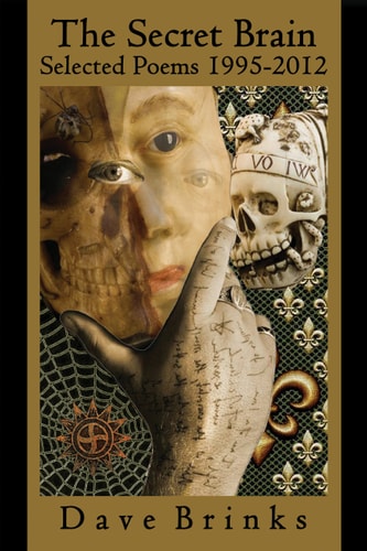 The Secret Brain: Selected Poems 1995-2012 (Black Widow Press Modern Poetry)