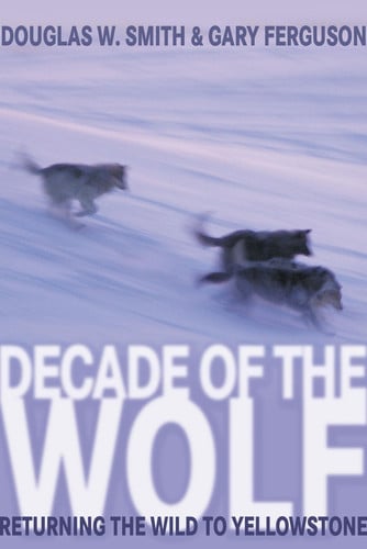 Decade of the Wolf: Returning The Wild To Yellowstone