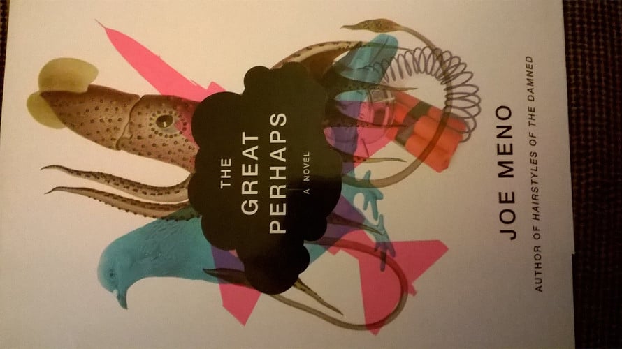 The Great Perhaps: A Novel