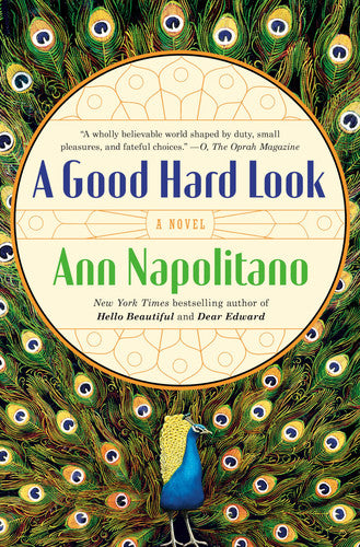 A Good Hard Look: A Novel of Flannery O'Connor