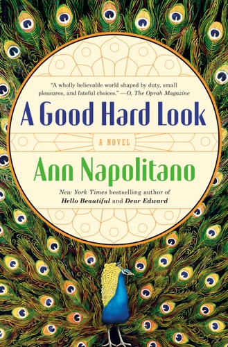 A Good Hard Look: A Novel of Flannery O'Connor