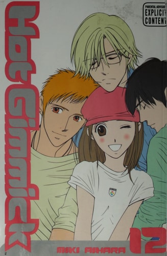 Hot Gimmick, Vol. 12 (v. 12)