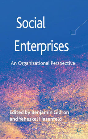 Social Enterprises: An Organizational Perspective