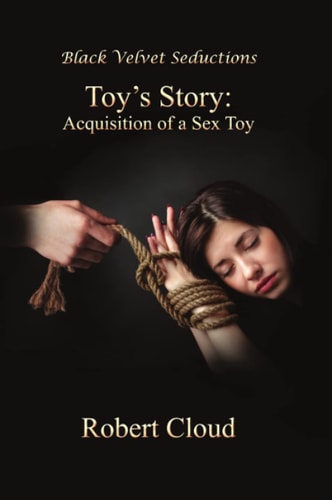 Toy's Story