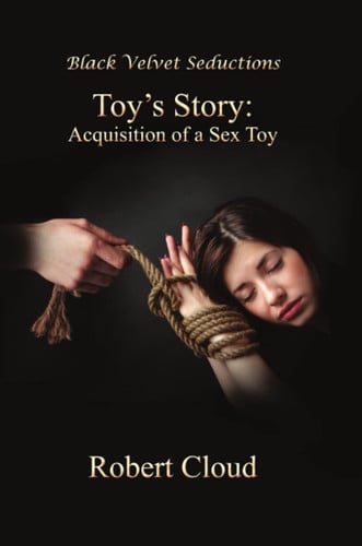 Toy's Story
