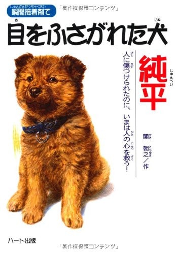 瞬間接着剤で目をふさがれた犬純平