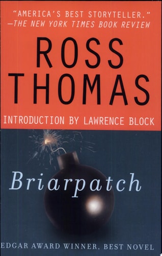 Briarpatch: A Novel