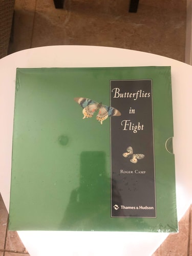 Butterflies in Flight