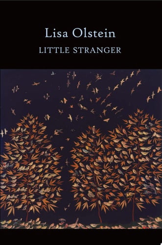 Little Stranger (Lannan Literary Selections)