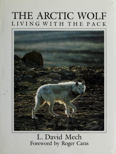 The Arctic wolf: Living with the pack