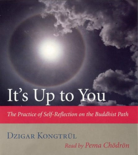 It's Up to You: The Practice of Self-Reflection on the Buddhist Path