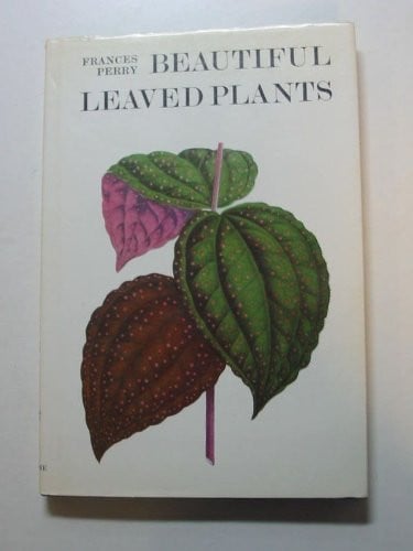 Beautiful Leaved Plants