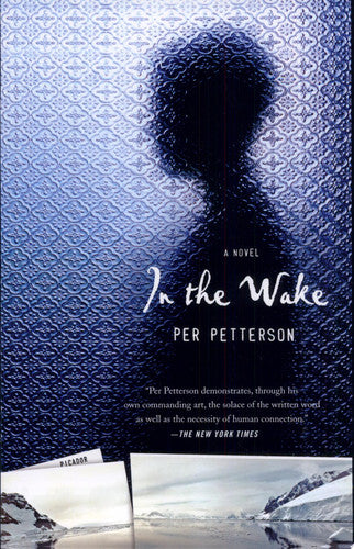 In the Wake: A Novel