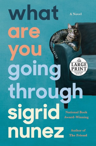 What Are You Going Through: A Novel (Random House Large Print)