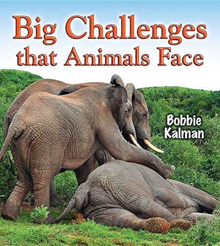 Big Challenges That Animals Face (Big Science Ideas)