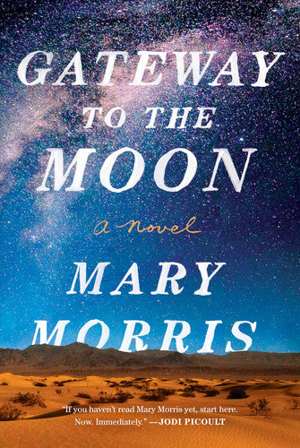 Gateway to the Moon: A Novel